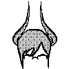 nel != nullさんのプロフィール画像