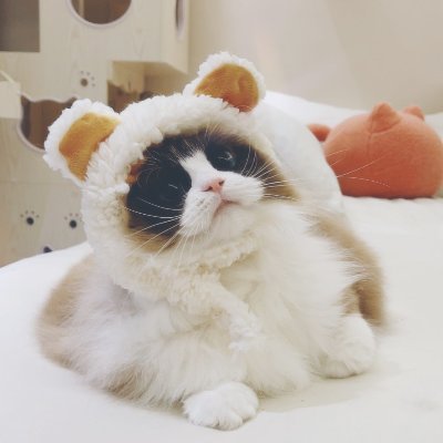 justrealme24532's profile picture. le/🌈/0/喜欢胡言乱语