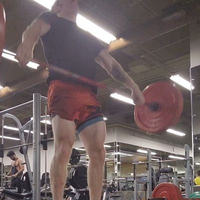 bluehorsetower's profile picture. trans rights and reproductive rights are human rights. corporate rights are not human rights. he/him.