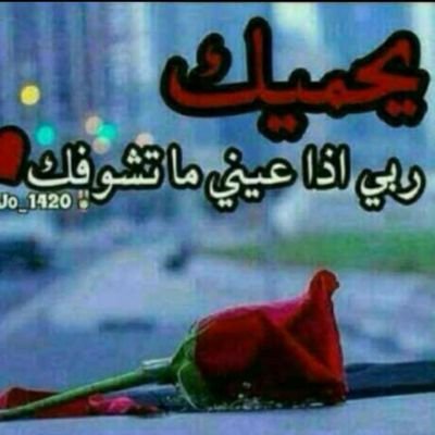 mhmdly169671's profile picture. ارسل رقمك في الخاص وبشر نتواصل فياك