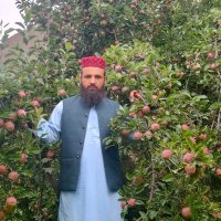 Mohammad Saeed Zafar (@saeedz966) 's Twitter Profile
