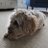 dr_jm_price's profile image