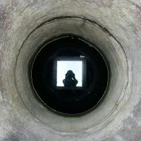 잊고자 (@lupine0411) 's Twitter Profile
