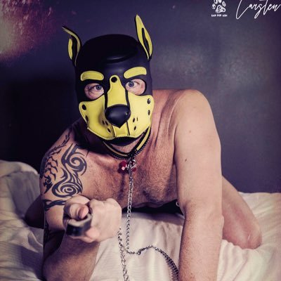 18+ Only Adult performer. Sex Educator, proud #bisexual #kinky #puppy #tattooed #pierced #ff #ws #bdsm #fetish #puppyplay #rigger #rope #orlando #contentcreator