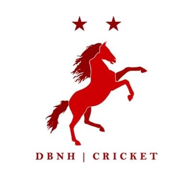 Cricket content! Follow us on Instagram and TikTok DBNHcricket