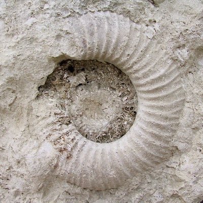 Kevin_Atkins's profile picture. 