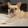 DougCli13776839's profile picture. 