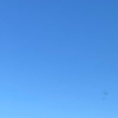 splife23's profile picture. 