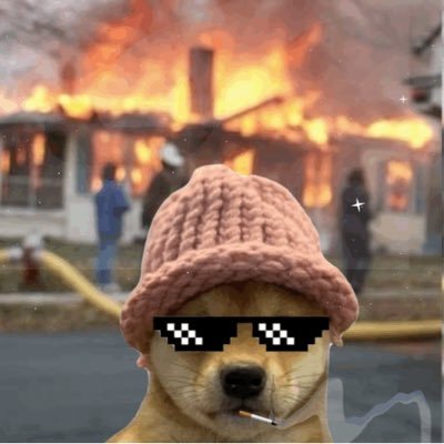 DOG WIF HATS | A 5555 NFT COLLECTION ON BASE WITH A DOG WITH HIS HATS & MORE SO SUPPORT $WIF TOKEN TO BECOME THE NO #1 MEME COIN
