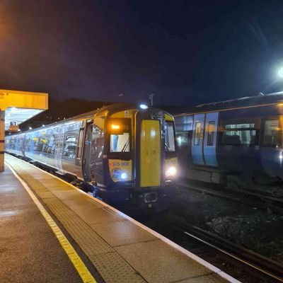 WillsonBrandon1's profile picture. 