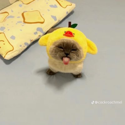 EspHayd's profile picture. 