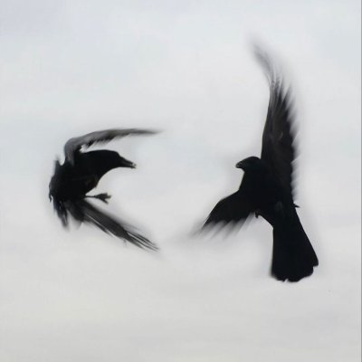 S0L_ST0RM's profile picture. 