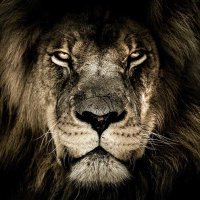 pfigas.bsky.social 🇮🇸 (@pfigas) 's Twitter Profile Photo pfigas.bsky.social 🇮🇸 (@pfigas) 's Twitter Profile Photo