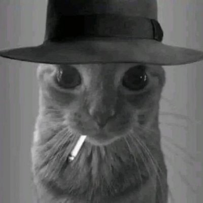 caduX64's profile picture. 