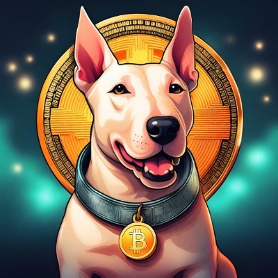 MoneyLegus's profile picture. só vim pelos Yields !