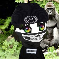 Trading Benjamins 🦍🦍 (@tradinbenjamins) 's Twitter Profile Photo Trading Benjamins 🦍🦍 (@tradinbenjamins) 's Twitter Profile Photo