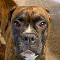 Mike Beach (@thereal_mrb01) 's Twitter Profile