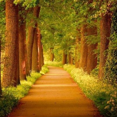 RuthGar14769715's profile picture. Ecuador país hermoso y noble, se merece la paz y la prosperidad.  Aprendamos a elegir