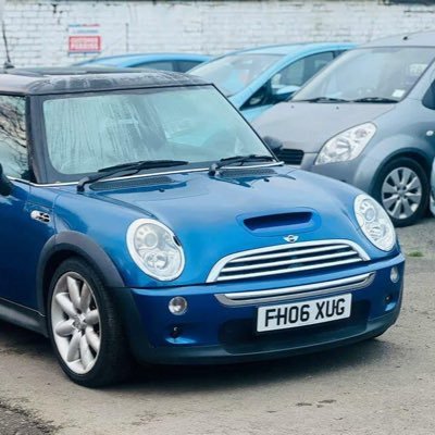 Pleasedontbull's profile picture. Haha Mini go brrrrrrrrr 🇩🇴 Banner stolen from @aciliaci