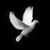 şuh• (@tt3abut) Twitter profile photo şuh• (@tt3abut) Twitter profile photo