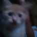 Frey (@asmoooooooooooo) Twitter profile photo Frey (@asmoooooooooooo) Twitter profile photo
