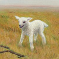 mossy (@acidburn03) 's Twitter Profile