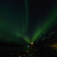 かずのこ (@l1ok9d50lu91898) 's Twitter Profile