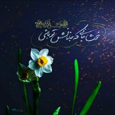 Sadiqi__'s profile picture. 