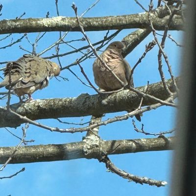 Damvand2018's profile picture. making great memories each day!