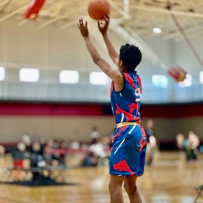 Amar’e Stoudemire Jr. Profile