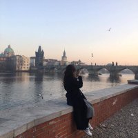 🌿Florence🌷 (@ginandolr) 's Twitter Profile