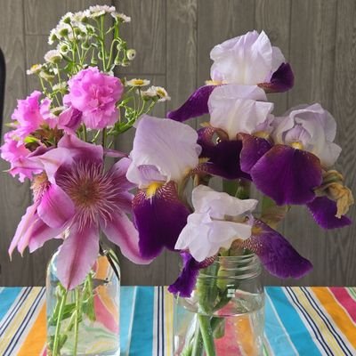 DebraHundl36223's profile picture. 