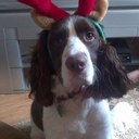 John McStravick - @Strav99 - Twitter