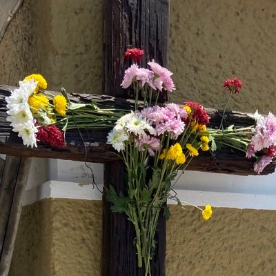 caracolalviento's profile picture. Solo el arte y la cultura aumenta  la armonía,  la tolerancia y la comprensión entre las personas.