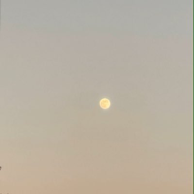 marcelabags's profile picture. I am in love with your horror