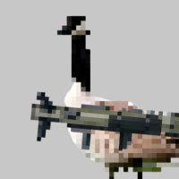 Mid-Career Army Officer (@midofficer) 's Twitter Profile Photo