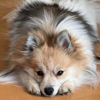 8iZoV4eYWt53005's profile picture. 