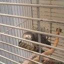 Collin Jackson - @CollinJ14 - Twitter