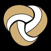 Vanderbilt Lab for Immersive AI Translation (@vandyvaliant) 's Twitter Profile