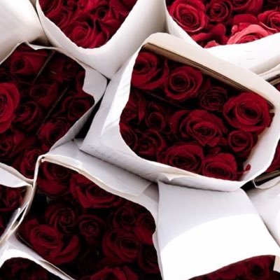 mrpresident7131's profile picture. same guy from 08 🇬🇳