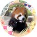 Oh chan (@snow01_31) Twitter profile photo Oh chan (@snow01_31) Twitter profile photo