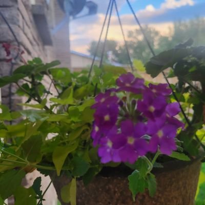 brooker_ta39644's profile picture. 420  😶‍🌫️ Wildlife.