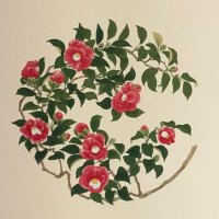 神楽 (@sumeragicamui) 's Twitter Profile Photo 神楽 (@sumeragicamui) 's Twitter Profile Photo