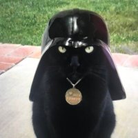 DoritoJones 🇺🇸 (@doritojonesmike) 's Twitter Profile Photo DoritoJones 🇺🇸 (@doritojonesmike) 's Twitter Profile Photo