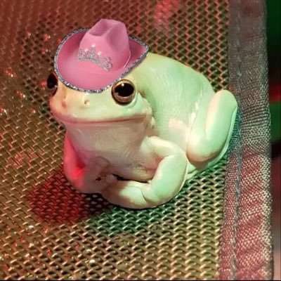 lillian_elise1's profile picture. 