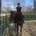 Lily That Equestrian (@lilyandpadre) Twitter profile photo Lily That Equestrian (@lilyandpadre) Twitter profile photo