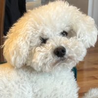 SossBaby (@imrebranding) 's Twitter Profile