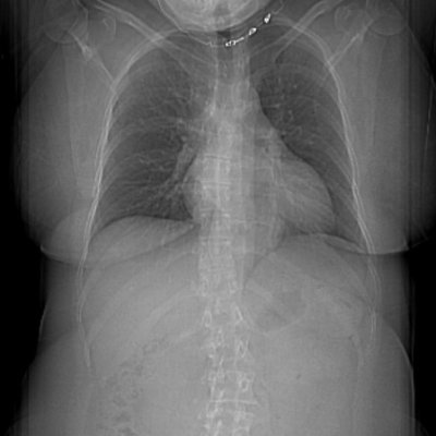 TruthyMagee's profile picture. 