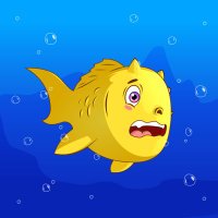 Ordinary Goldfish | NFT(@ORDNRYgoldfish) 's Twitter Profileg