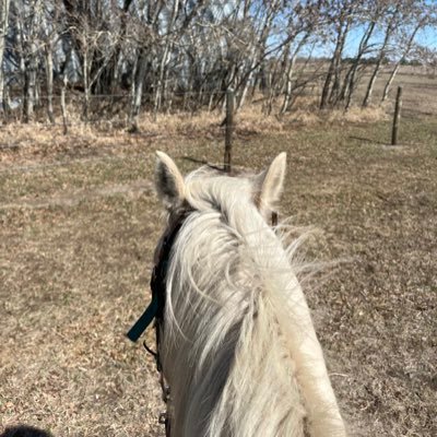 Operated family farm for 35 yrs, managed JD/ NH equipment dealerships, ag parts store. All things ag, horses, dogs and grandkids. Any day riding is a good one.